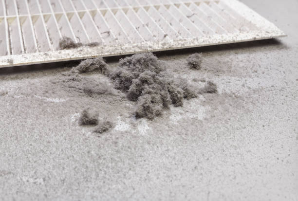 Best Residential Air Duct Cleaning  in Agler Beach, FL