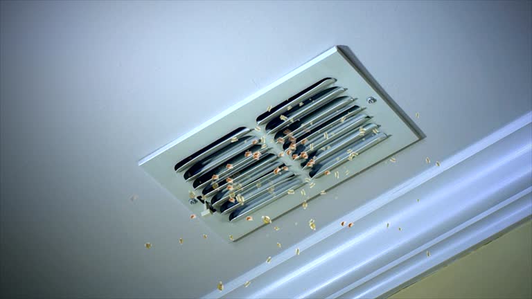Best Residential Air Duct Cleaning  in Agler Beach, FL