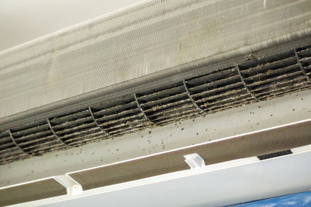 Best Air Duct Cleaning Near Me  in Agler Beach, FL